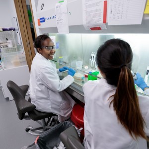 Esser-Kahn lab members Flora Kimani and Seong-Min Kim at work in the tissue culture hood